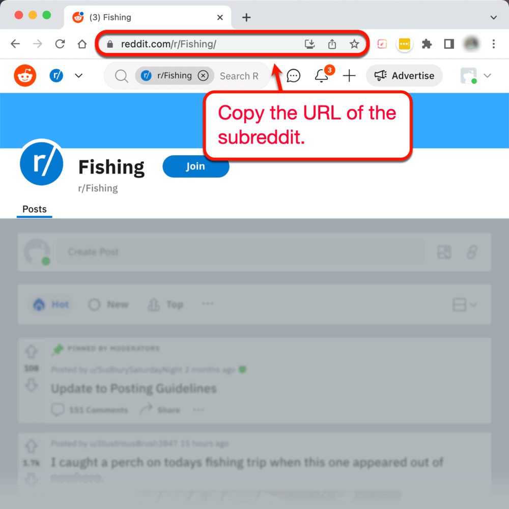 Copying a subreddit URL