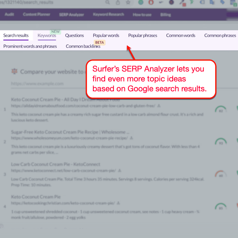 Surfer SERP Analyzer results