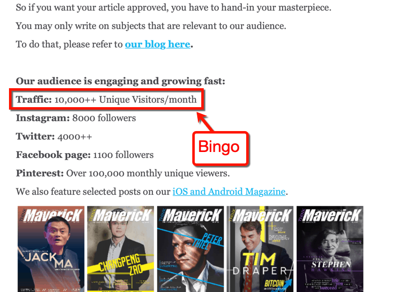 ThinkMaverick Traffic Statistics