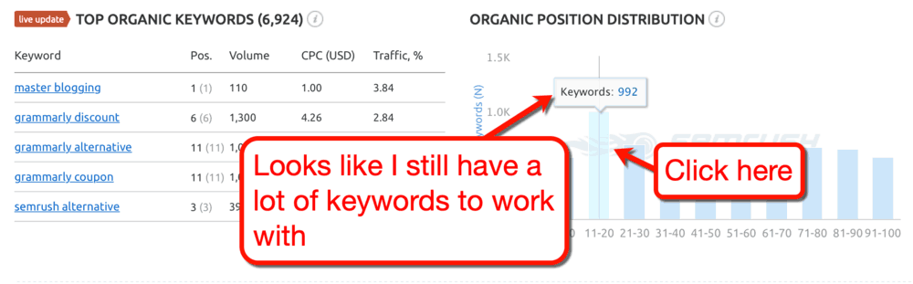 Top Organic Keywords Page Two