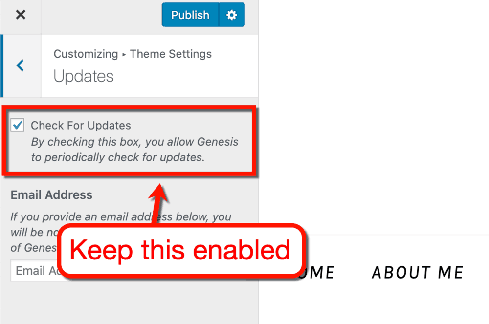 Theme Updates Settings