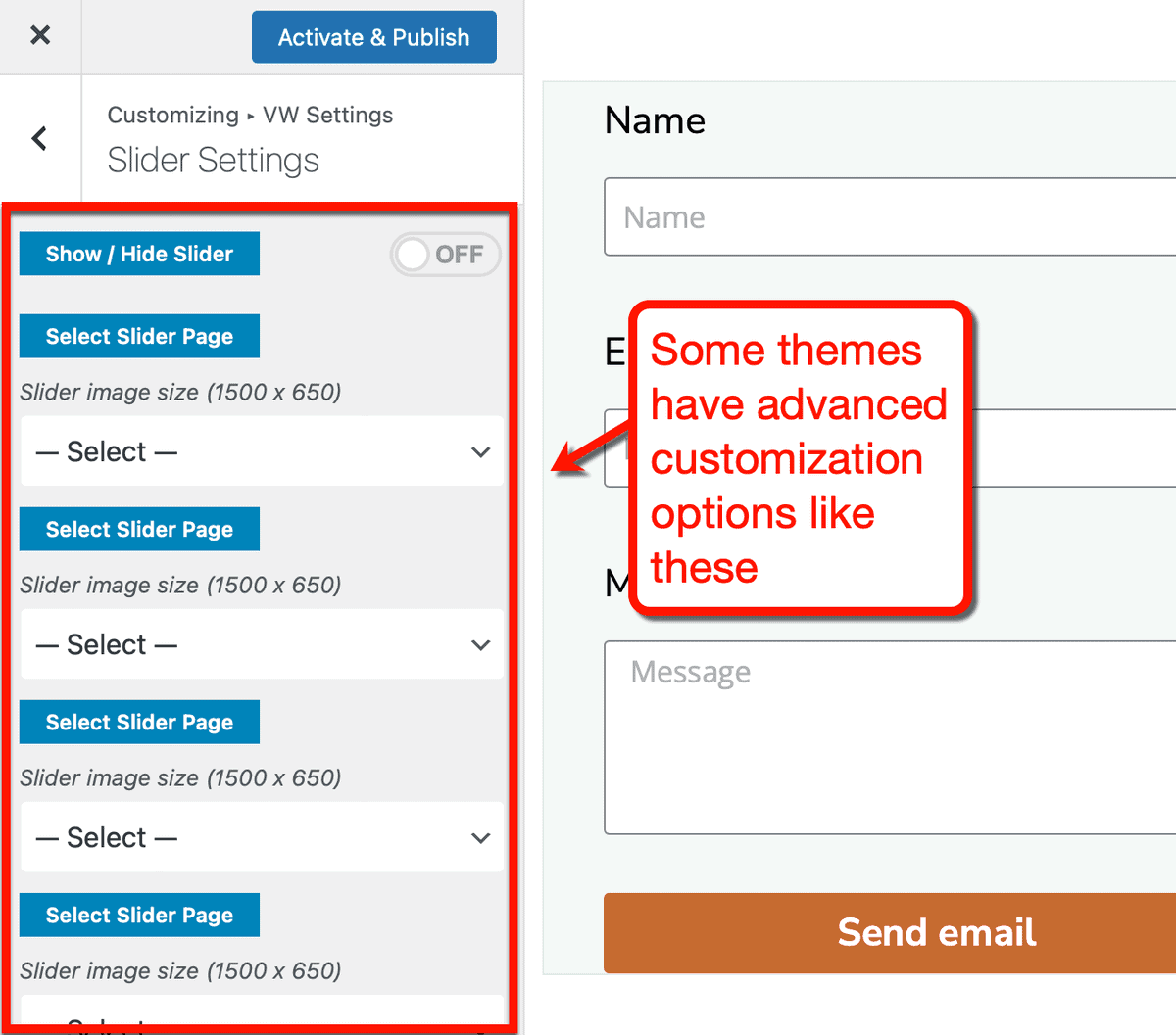 Theme Customizer Options