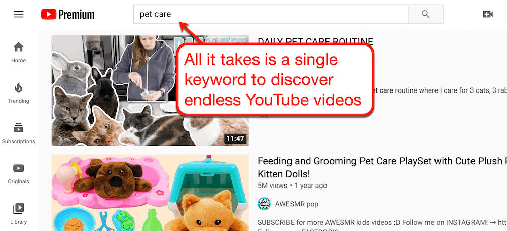 YouTube pet care videos