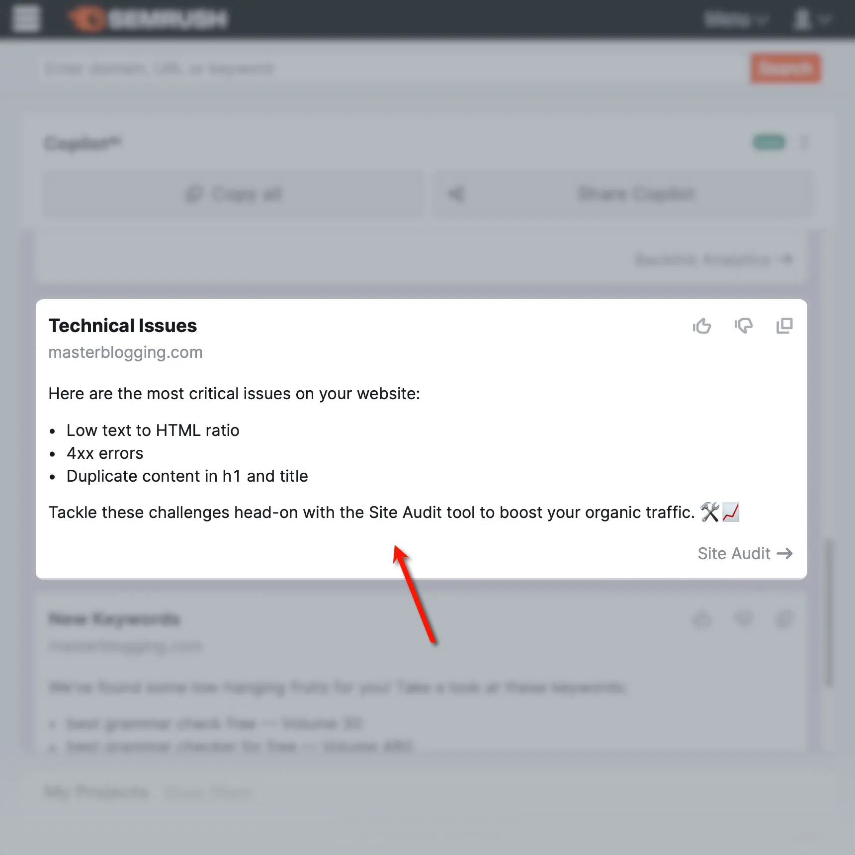 Semrush Copilot AI Technical Issues