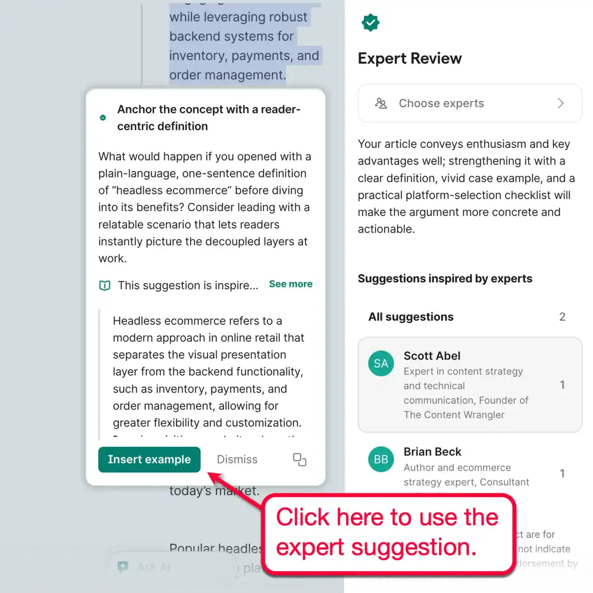 Expert Review Insert Suggestions