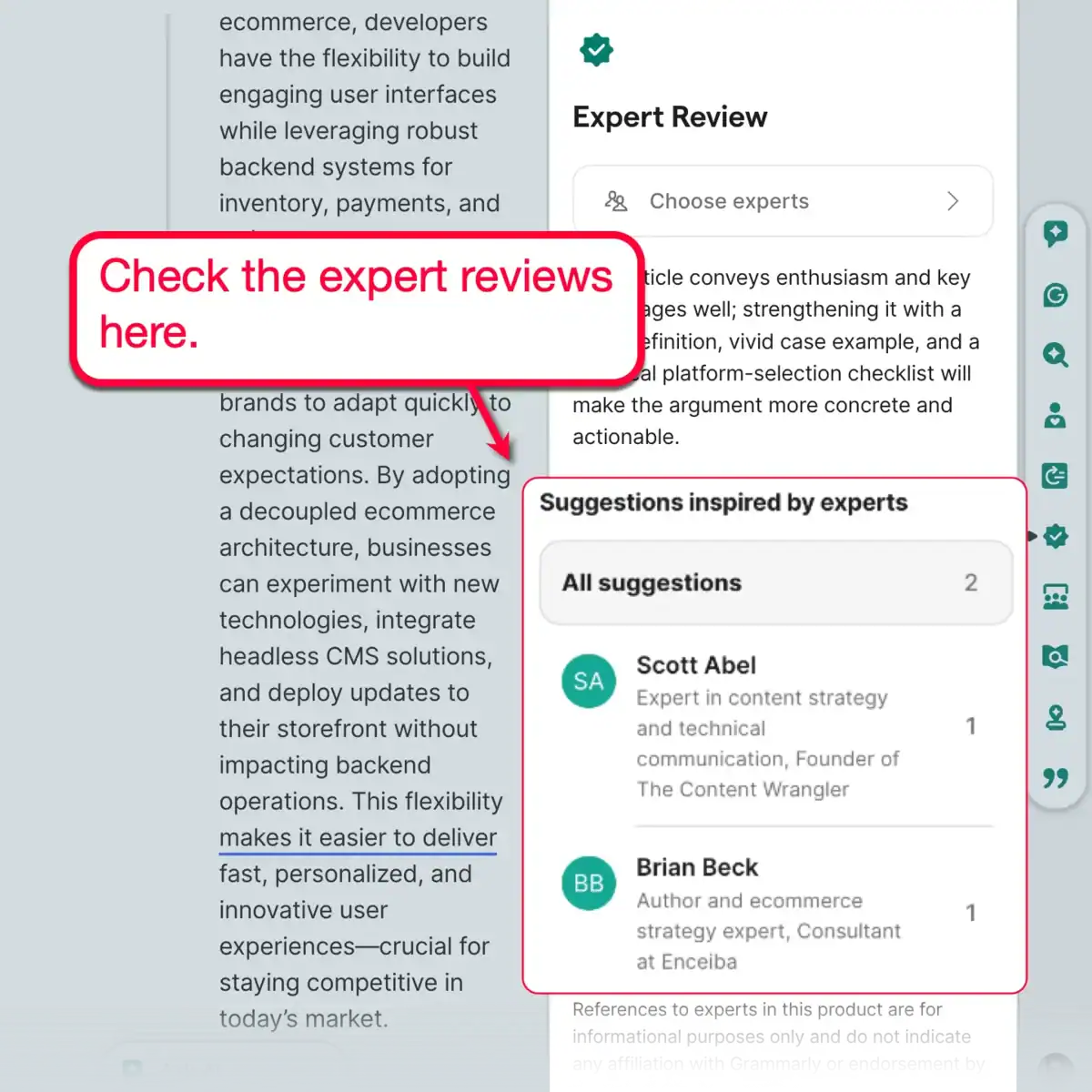 Expert Review Tool Suggestions