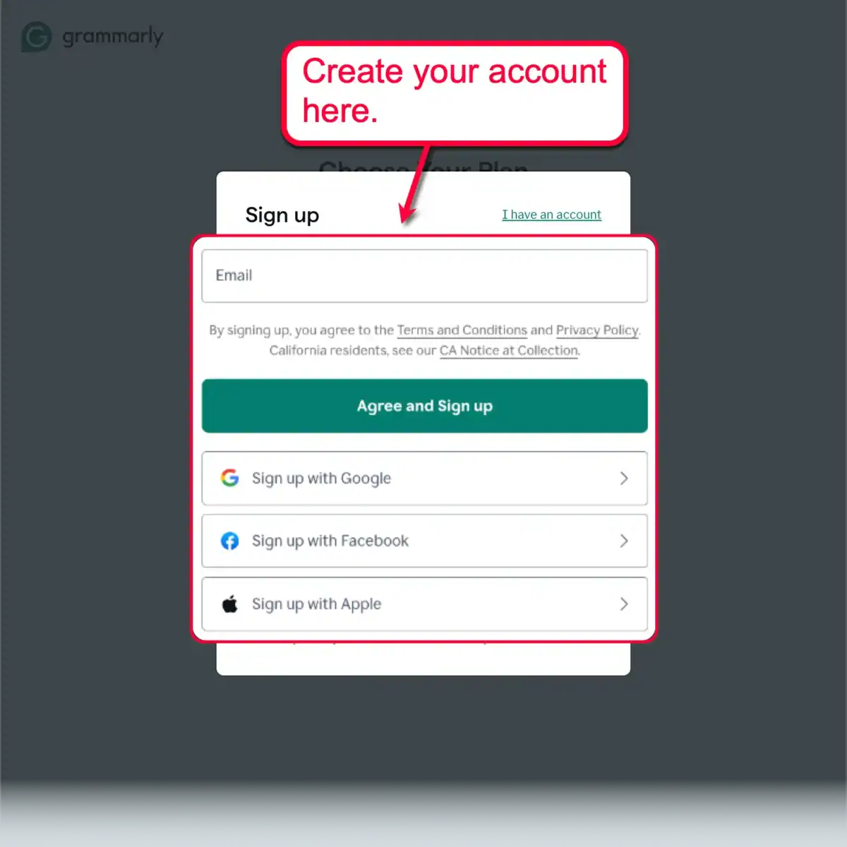 Grammarly Registration Step