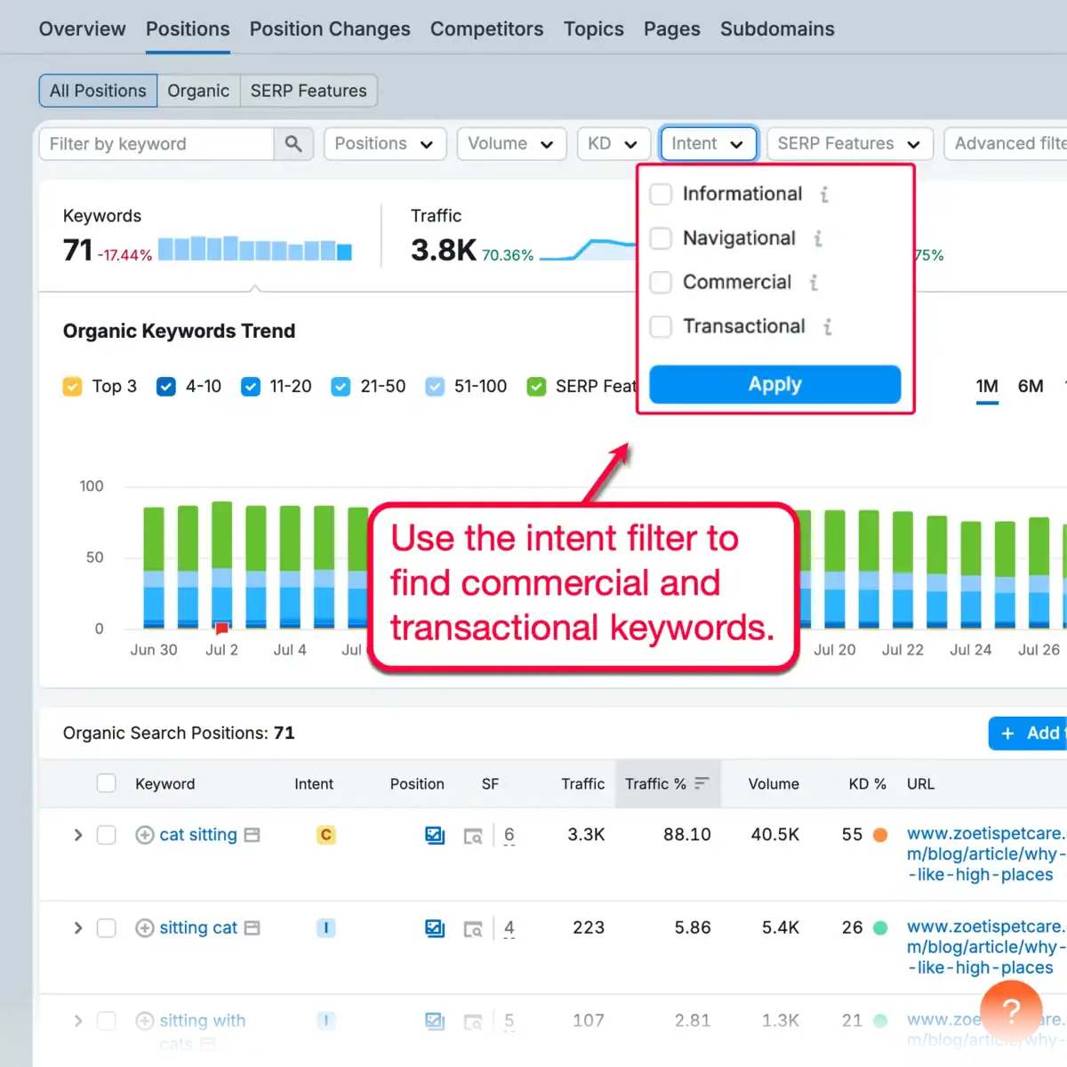 Semrush Keyword Intent Filter
