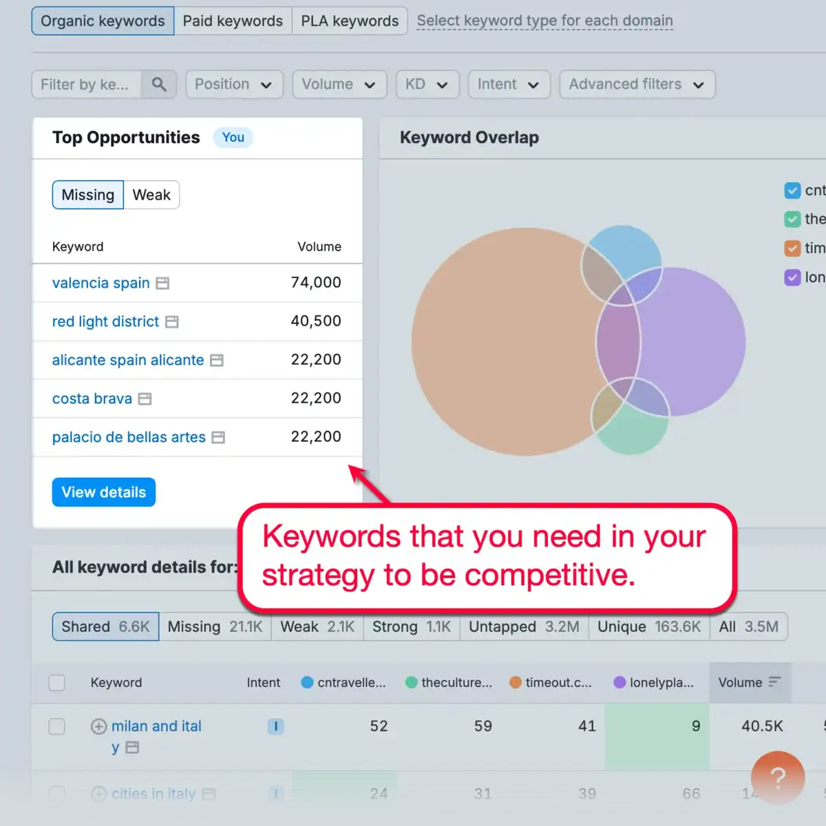 Keyword Gap Analysis Report