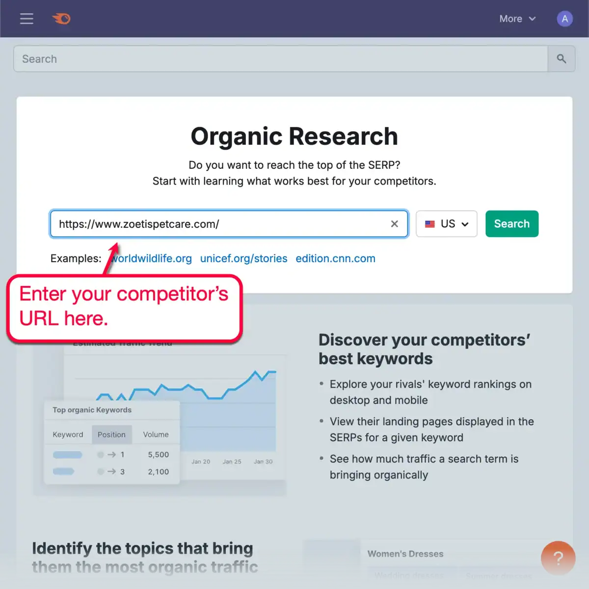 Semrush Organic Research Tool