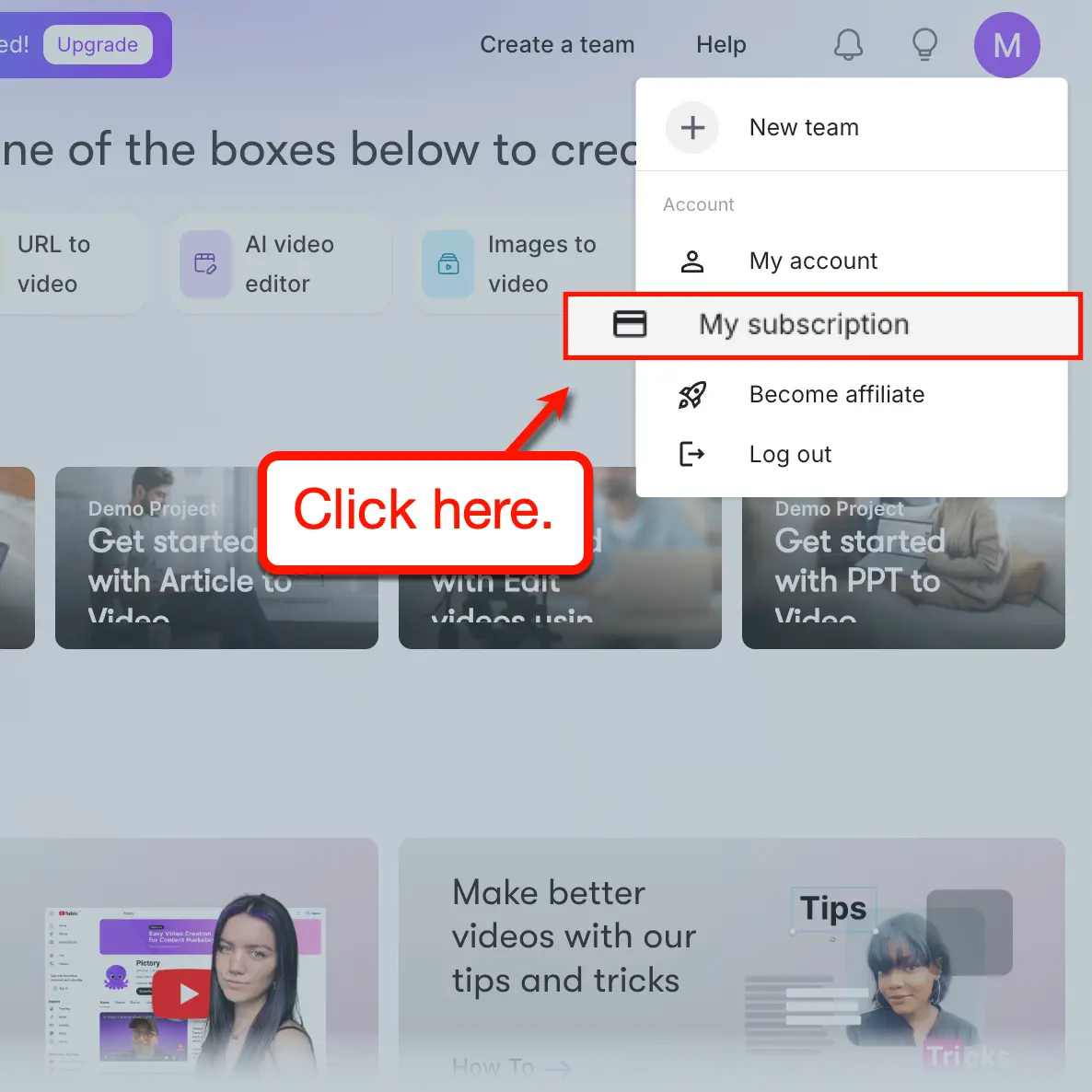 Pictory My Subscription Settings
