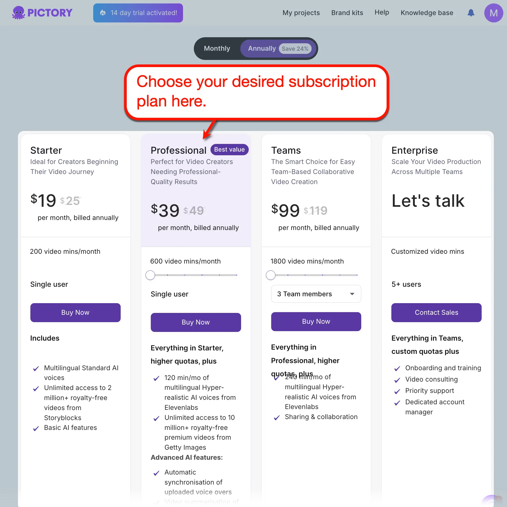 Pictory plans and pricing