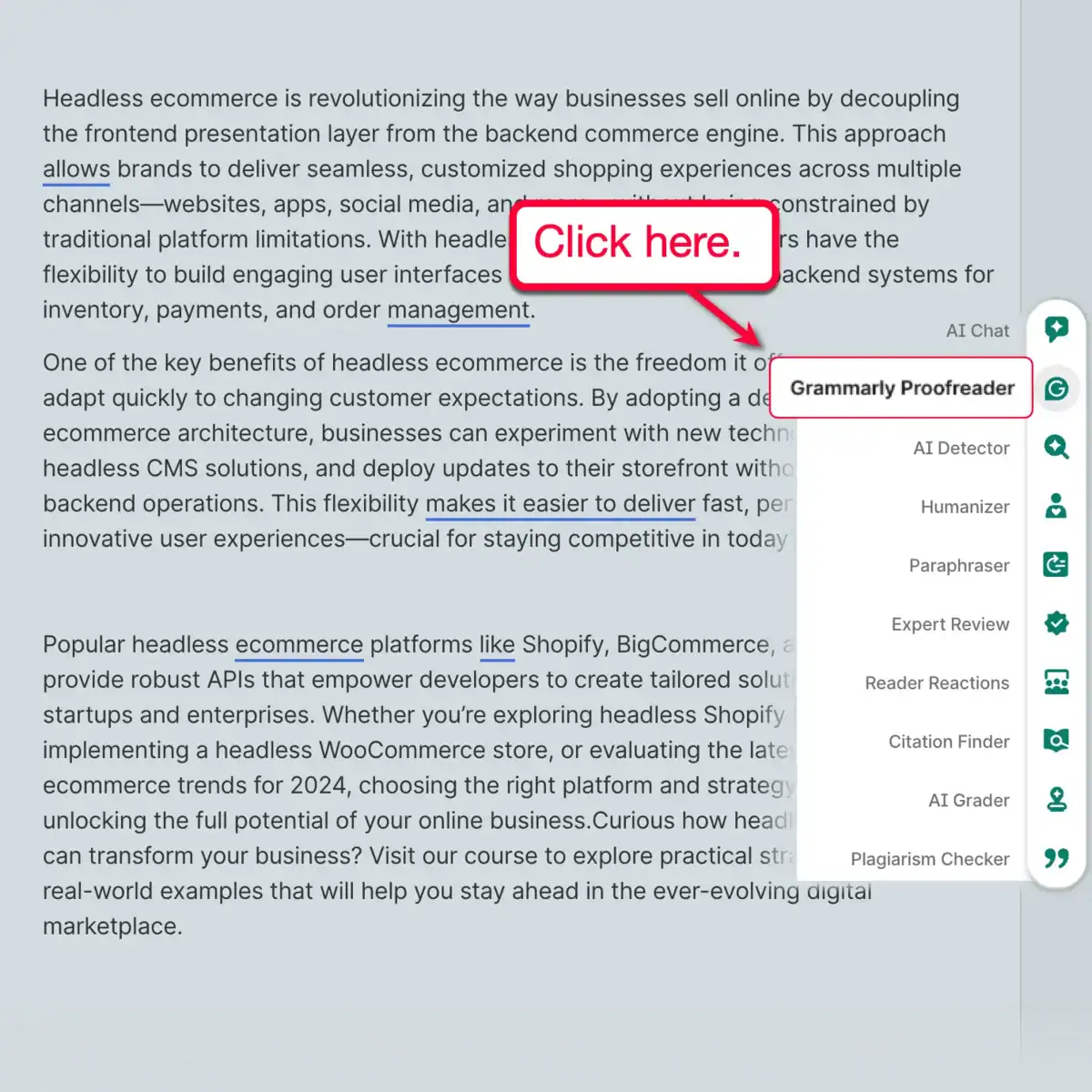 Grammarly Proofreader Sidebar Menu