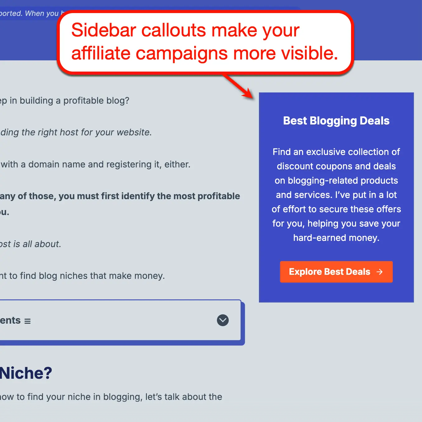 Master Blogging Sidebar Callout