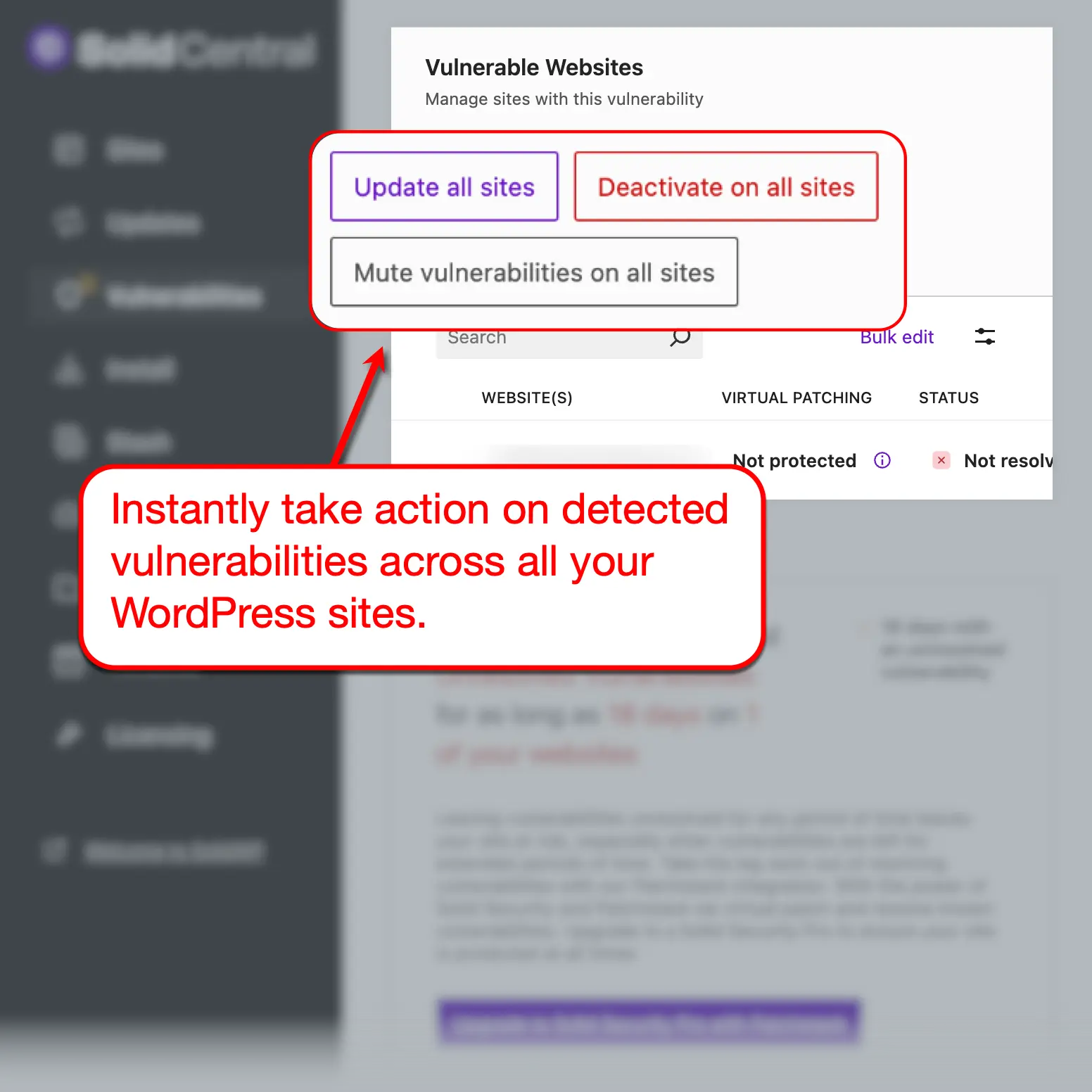 Solid Central Vulnerabilities Report