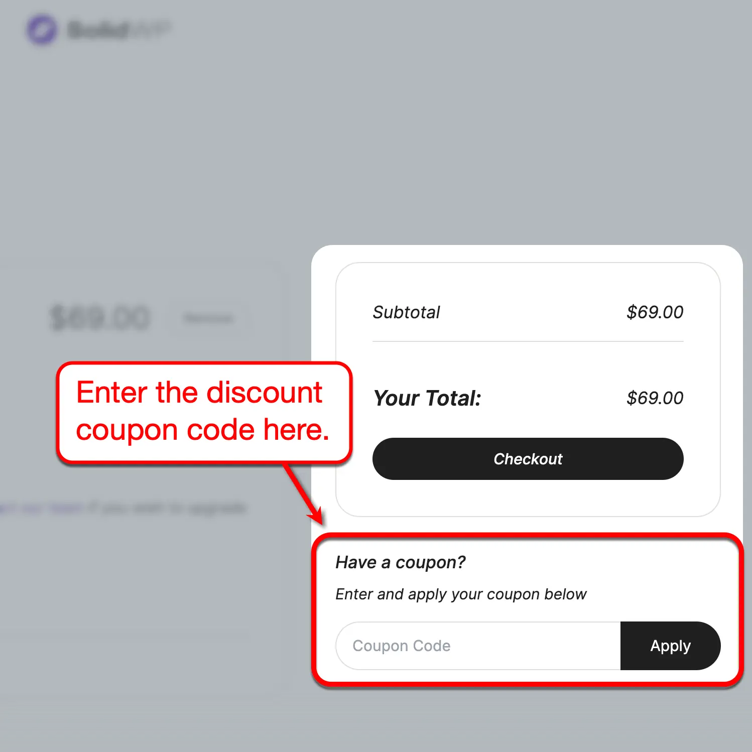 SolidWp Checkout Discount Form