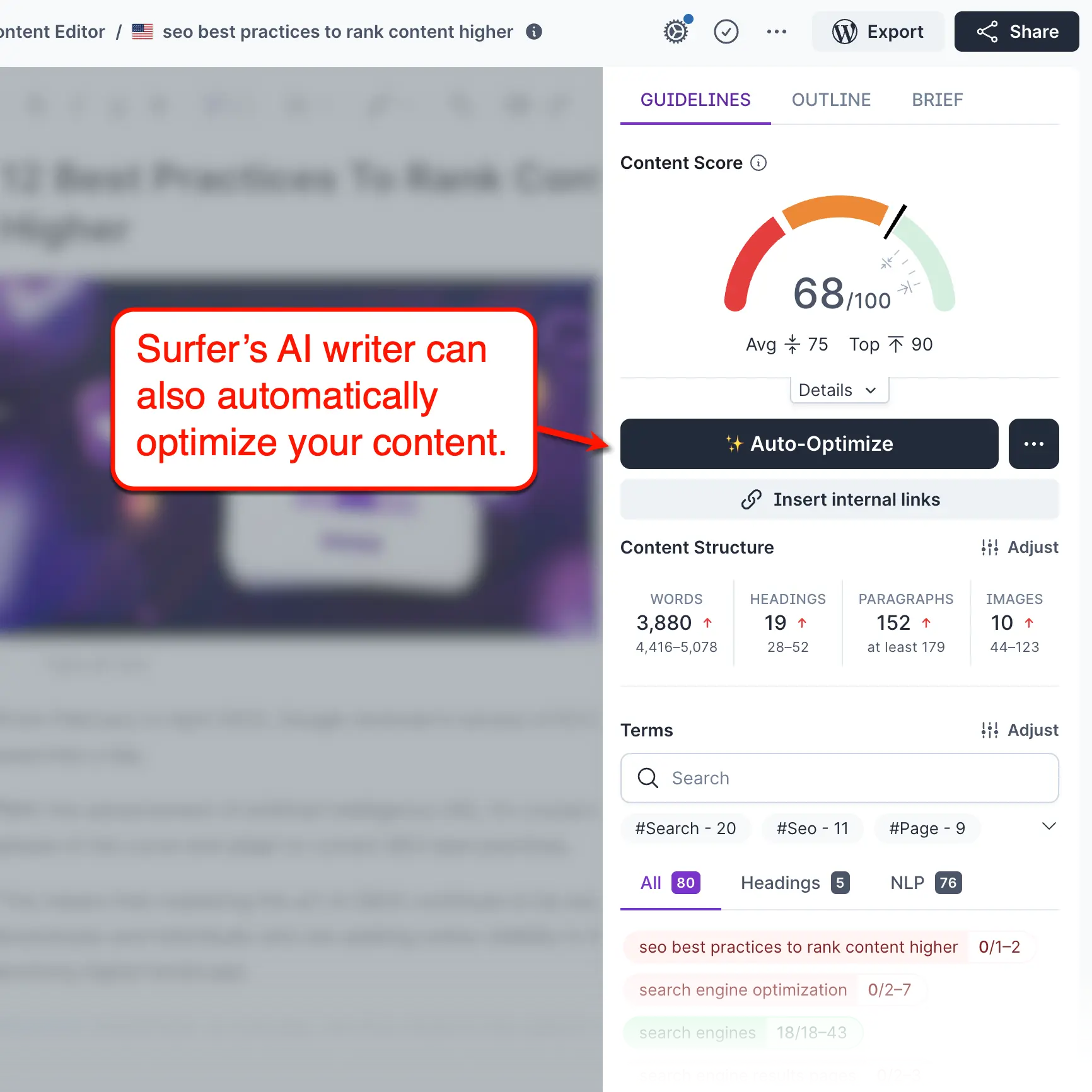 Surfer AI Auto-Optimize