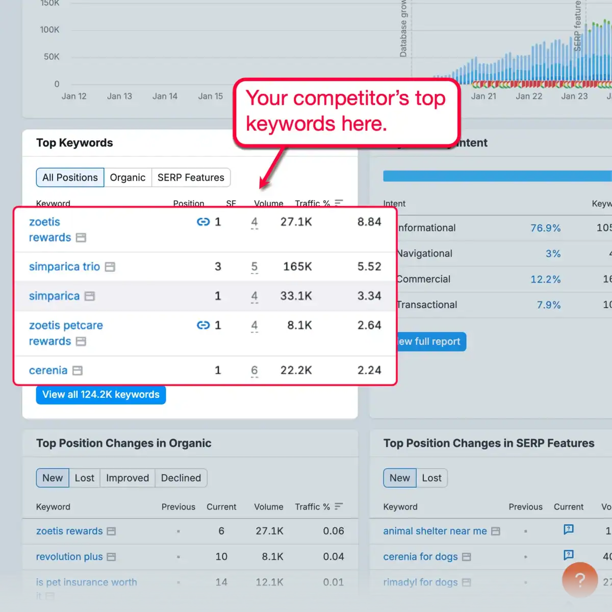 Organic Research Top Keywords List